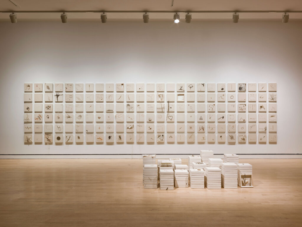 An installation of scars stitched into small canvases